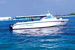 FLIER-1
