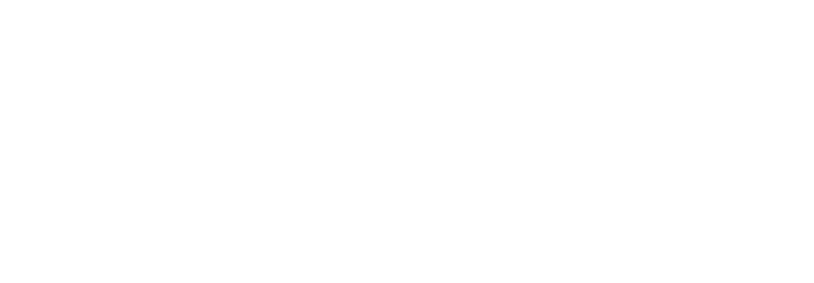 Leo Trading Pvt Ltd