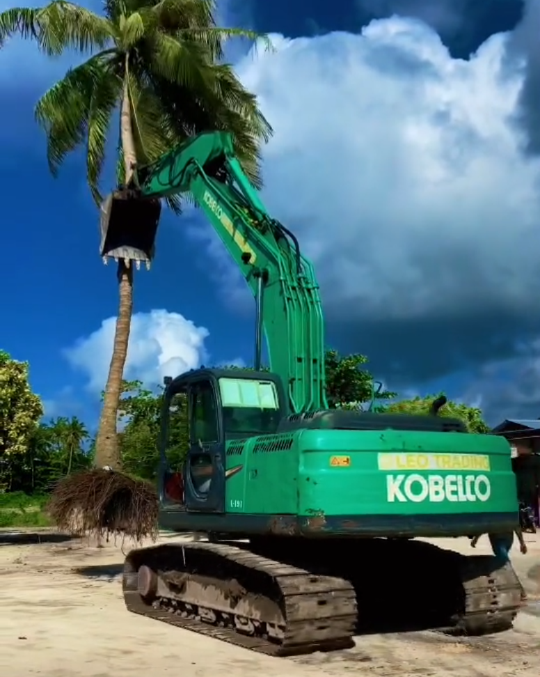 Land Transport for Palm Trees